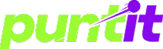 puntit logo