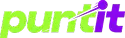 puntit logo